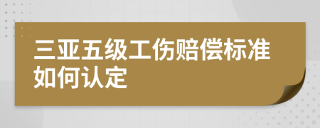 三亚五级工伤赔偿标准如何认定