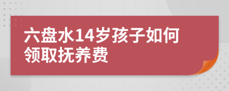 六盘水14岁孩子如何领取抚养费