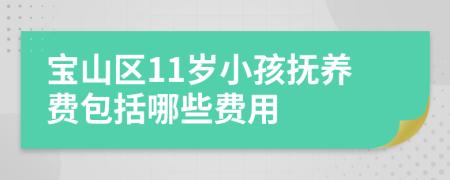 宝山区11岁小孩抚养费包括哪些费用