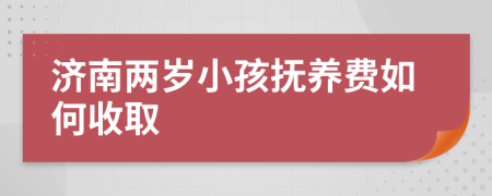 济南两岁小孩抚养费如何收取