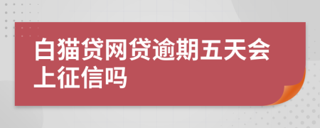 白猫贷网贷逾期五天会上征信吗