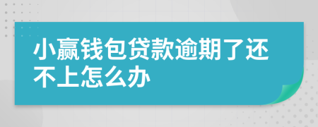 小赢钱包贷款逾期了还不上怎么办