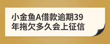 小金鱼A借款逾期39年拖欠多久会上征信