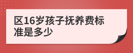 区16岁孩子抚养费标准是多少