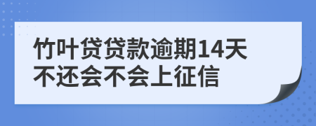 竹叶贷贷款逾期14天不还会不会上征信