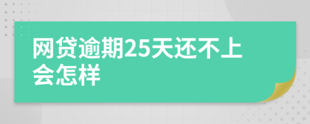 网贷逾期25天还不上会怎样