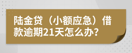 陆金贷（小额应急）借款逾期21天怎么办？