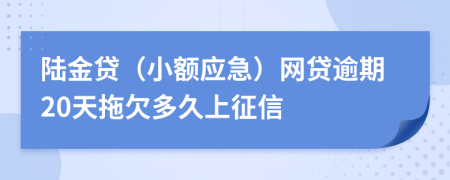 陆金贷（小额应急）网贷逾期20天拖欠多久上征信