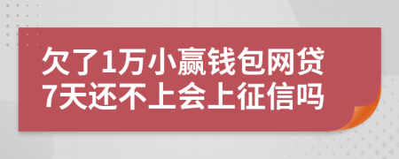 欠了1万小赢钱包网贷7天还不上会上征信吗