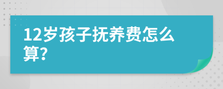 12岁孩子抚养费怎么算？