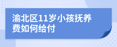 渝北区11岁小孩抚养费如何给付