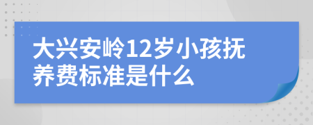 大兴安岭12岁小孩抚养费标准是什么