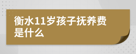 衡水11岁孩子抚养费是什么