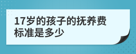 17岁的孩子的抚养费标准是多少