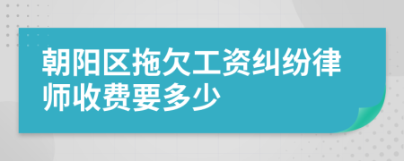 朝阳区拖欠工资纠纷律师收费要多少