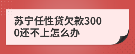 苏宁任性贷欠款3000还不上怎么办