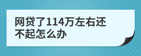 网贷了114万左右还不起怎么办