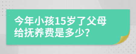 今年小孩15岁了父母给抚养费是多少？