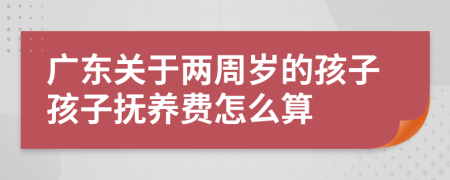 广东关于两周岁的孩子孩子抚养费怎么算