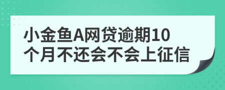 小金鱼A网贷逾期10个月不还会不会上征信