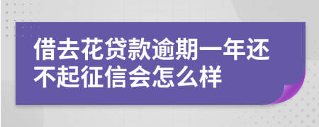 借去花贷款逾期一年还不起征信会怎么样