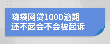 嗨袋网贷1000逾期还不起会不会被起诉