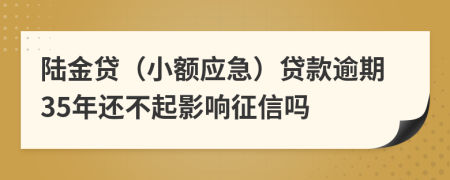 陆金贷（小额应急）贷款逾期35年还不起影响征信吗