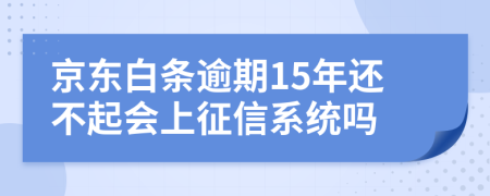 京东白条逾期15年还不起会上征信系统吗