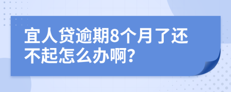 宜人贷逾期8个月了还不起怎么办啊？