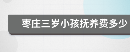 枣庄三岁小孩抚养费多少