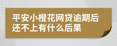 平安小橙花网贷逾期后还不上有什么后果