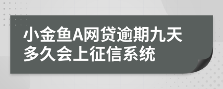 小金鱼A网贷逾期九天多久会上征信系统