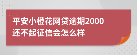 平安小橙花网贷逾期2000还不起征信会怎么样