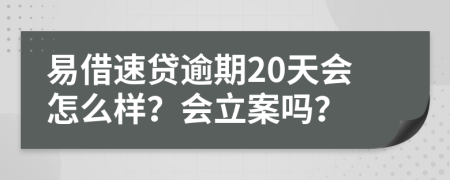 易借速贷逾期20天会怎么样？会立案吗？