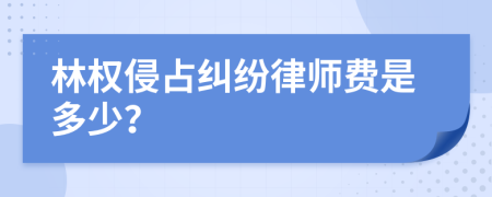 林权侵占纠纷律师费是多少？