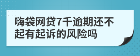 嗨袋网贷7千逾期还不起有起诉的风险吗