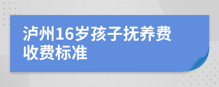 泸州16岁孩子抚养费收费标准