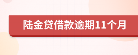 陆金贷借款逾期11个月