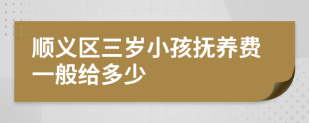 顺义区三岁小孩抚养费一般给多少