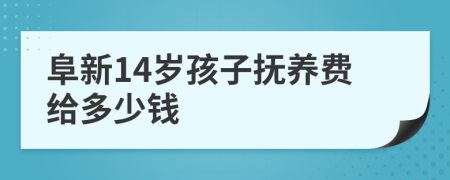 阜新14岁孩子抚养费给多少钱