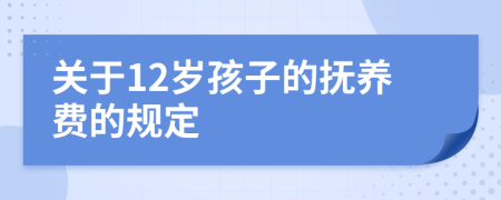 关于12岁孩子的抚养费的规定