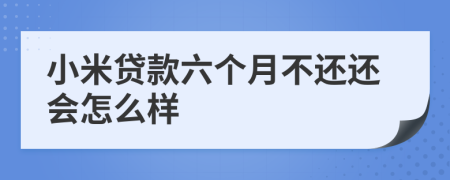 小米贷款六个月不还还会怎么样