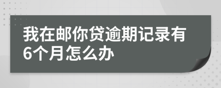 我在邮你贷逾期记录有6个月怎么办