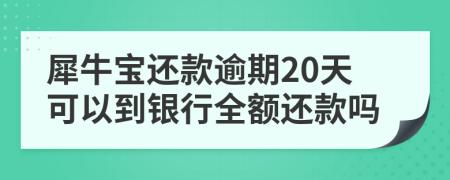 犀牛宝还款逾期20天可以到银行全额还款吗