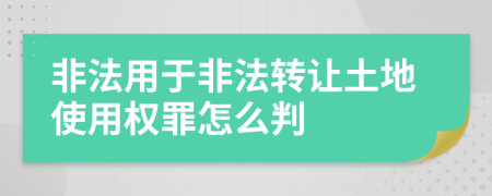 非法用于非法转让土地使用权罪怎么判
