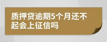 质押贷逾期5个月还不起会上征信吗