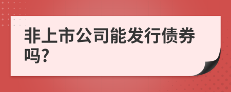 非上市公司能发行债券吗?