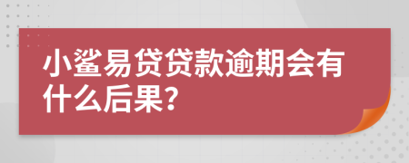 小鲨易贷贷款逾期会有什么后果？