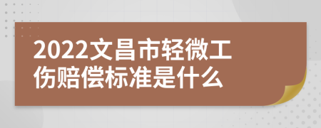 2022文昌市轻微工伤赔偿标准是什么