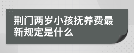 荆门两岁小孩抚养费最新规定是什么